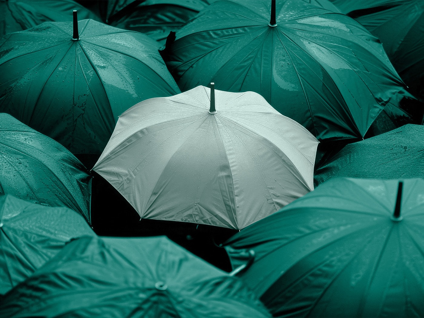 Warranty & Indemnity (W&I)